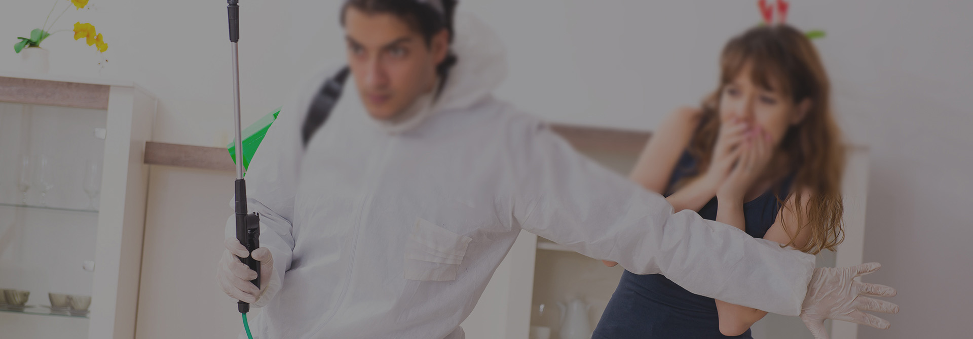 菱之花虫控，焕新生活