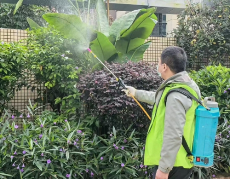 办公楼宇虫控案例