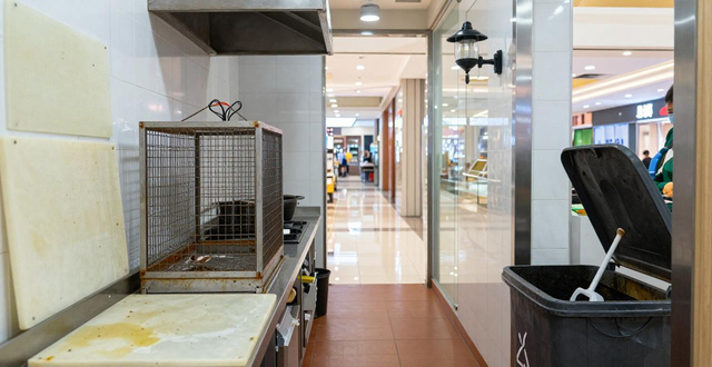 商场灭蝇方法_商场灭蝇_超市灭蝇